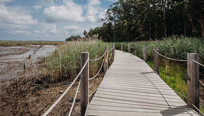 Passadiço da Ribeira de Esgueira
