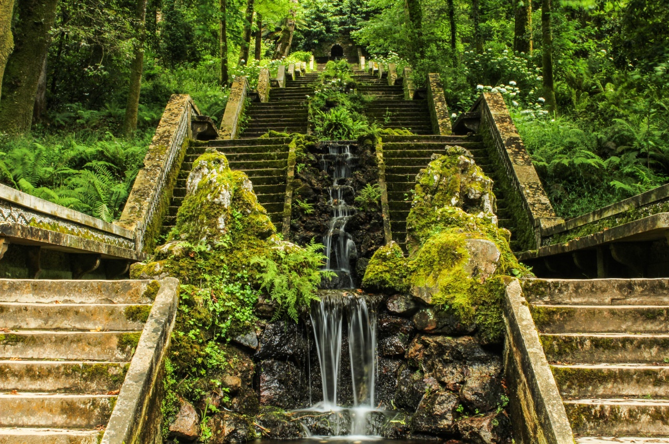 Mata Nacional do Buçaco